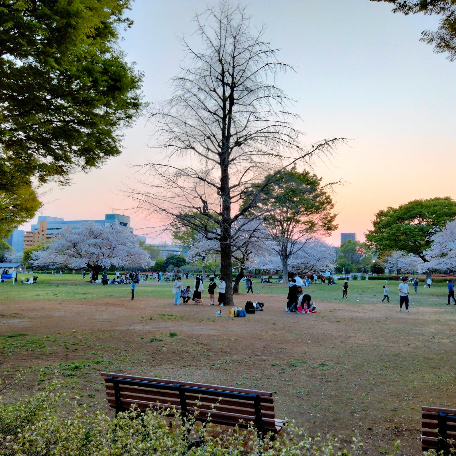 Kiba Park - Image 1