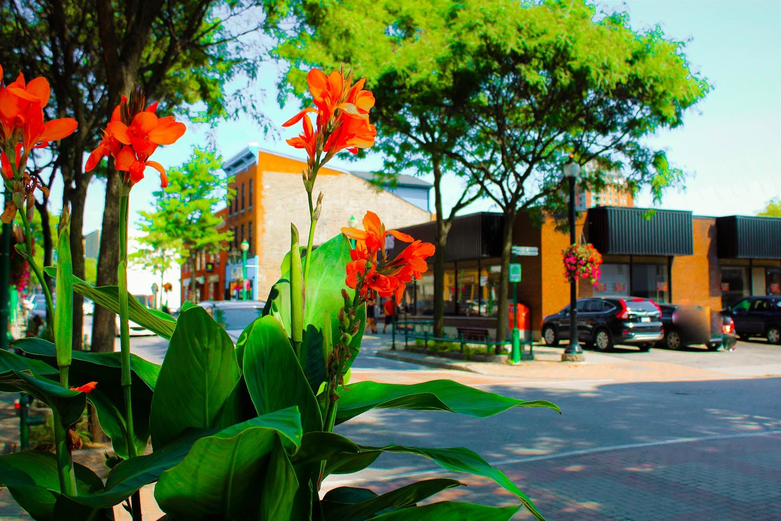 Downtown Brockville (King St.) - Image 1