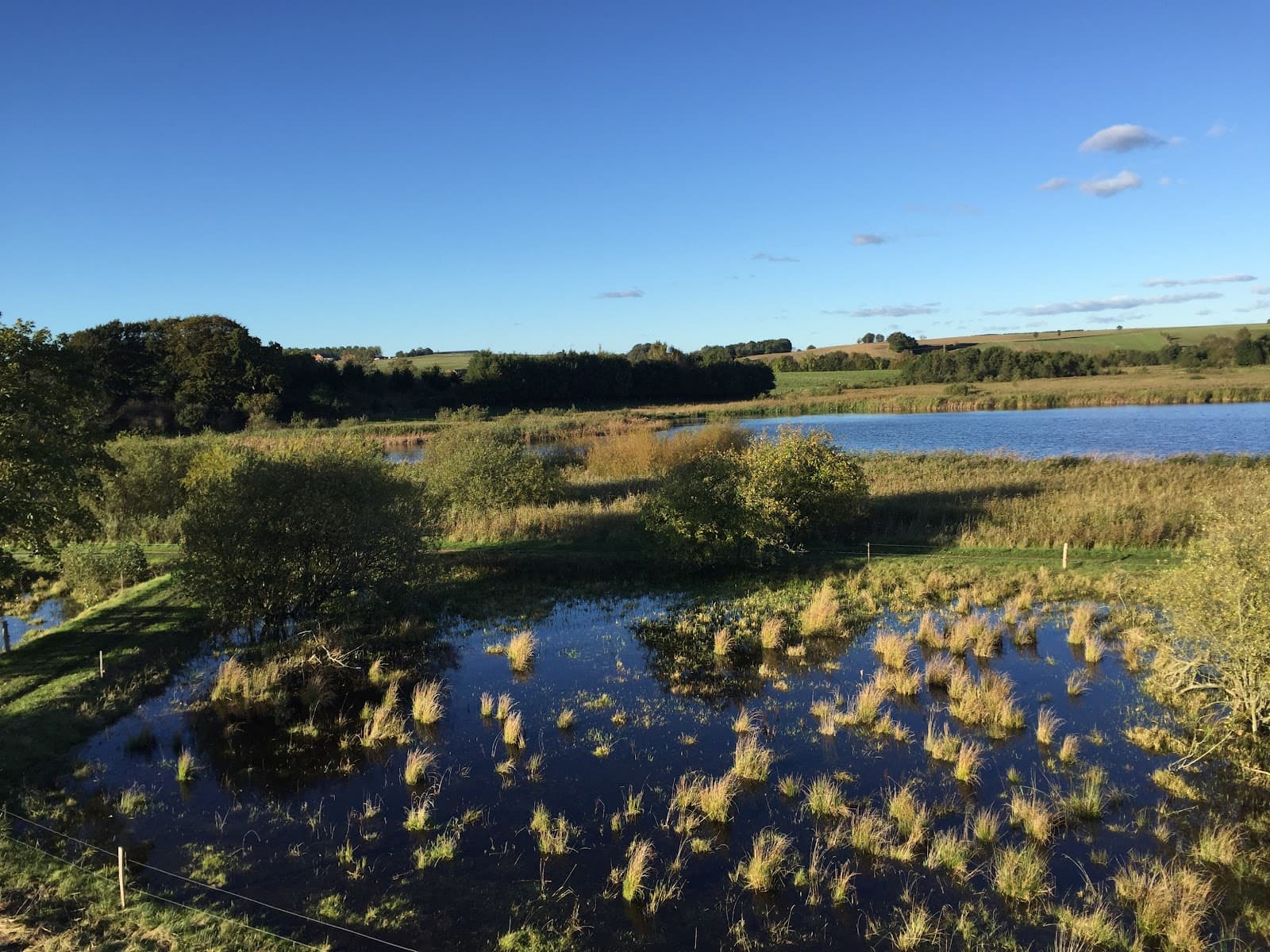Nørrestrand Nature Reserve - Image 1