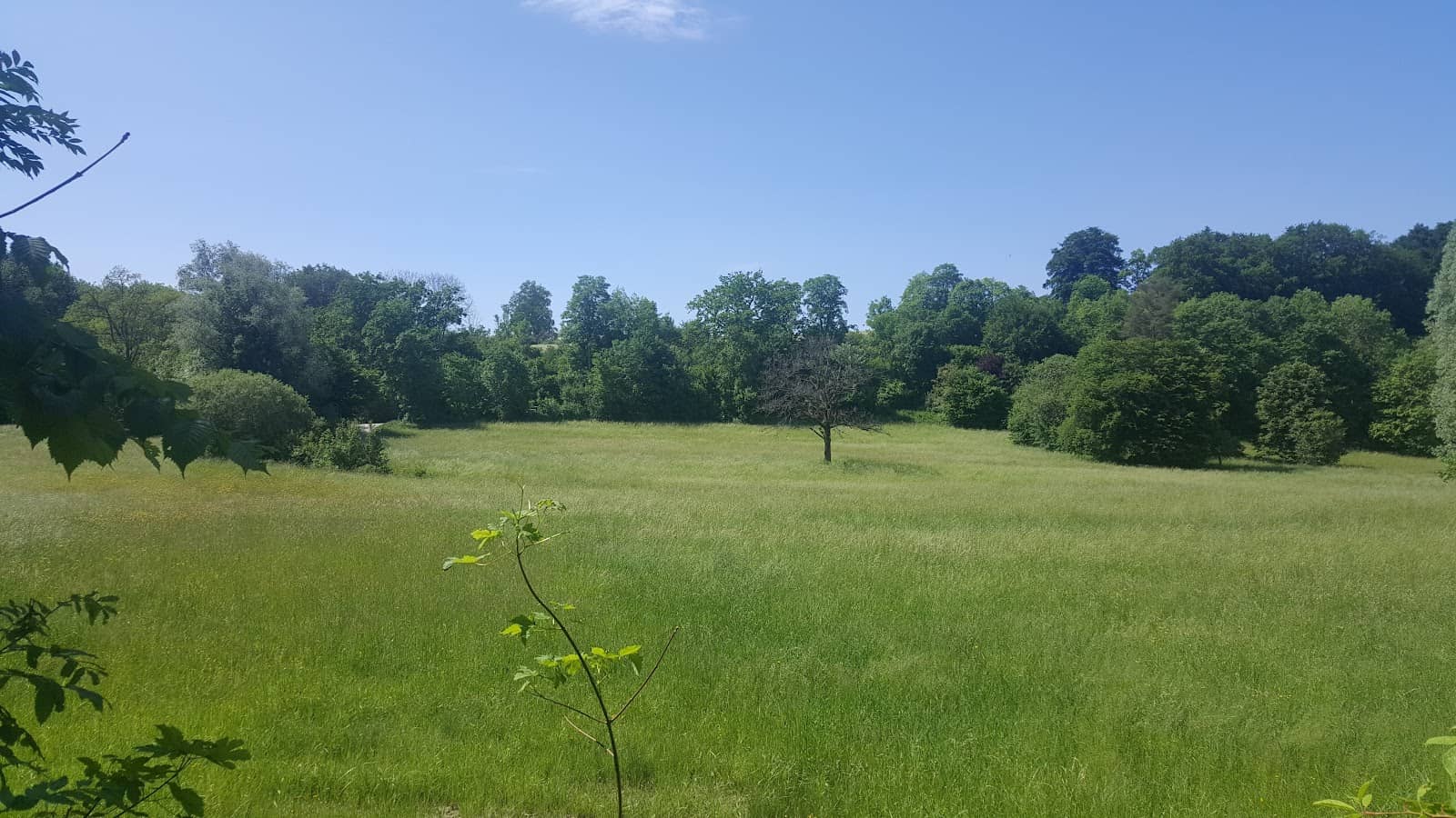 Lake Starnberg Proximity