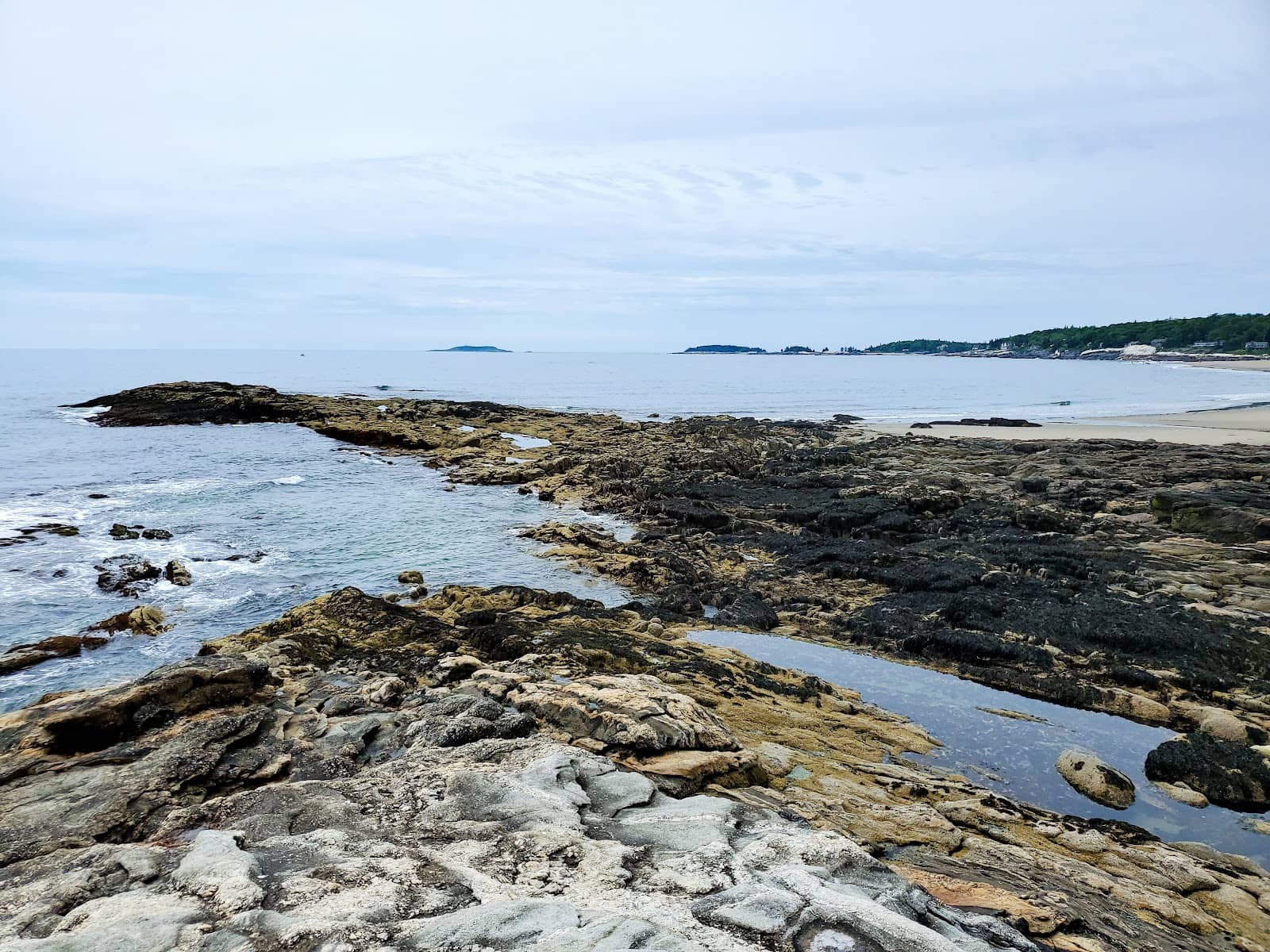 Newly Repaired Boardwalk