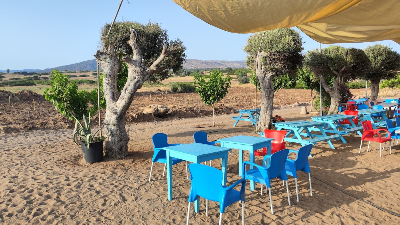 Lara Turtle Conservation Station - Image 1