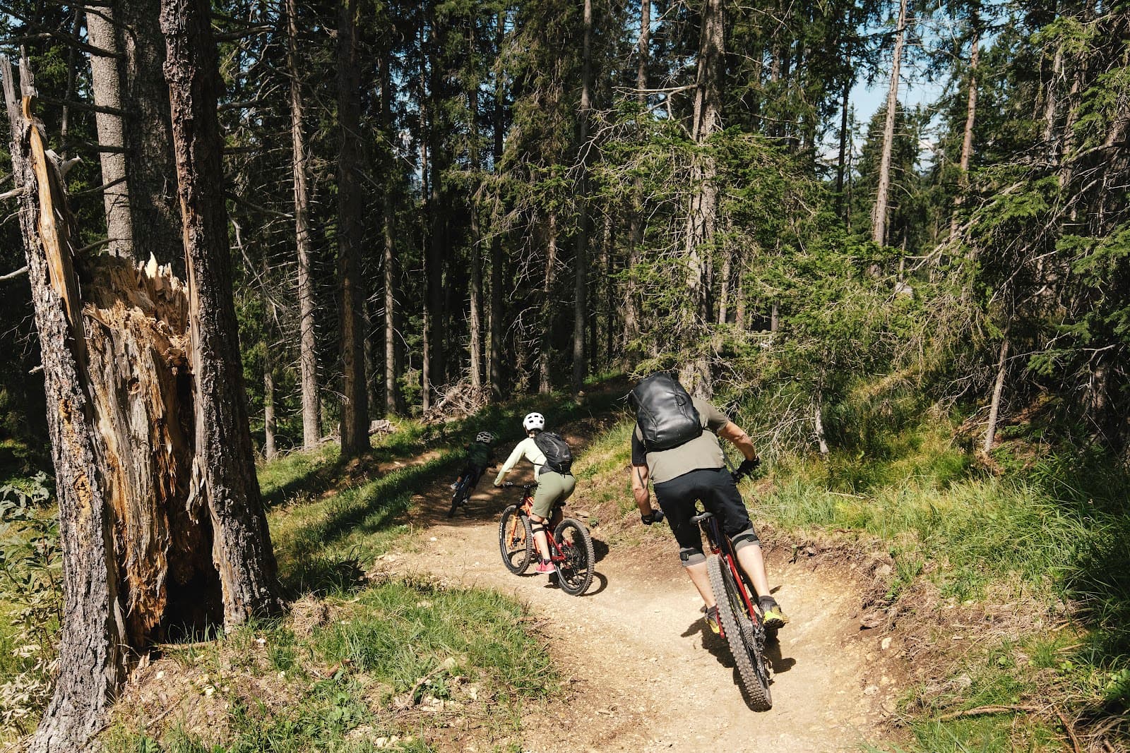 Carezza Bike Park - Image 1