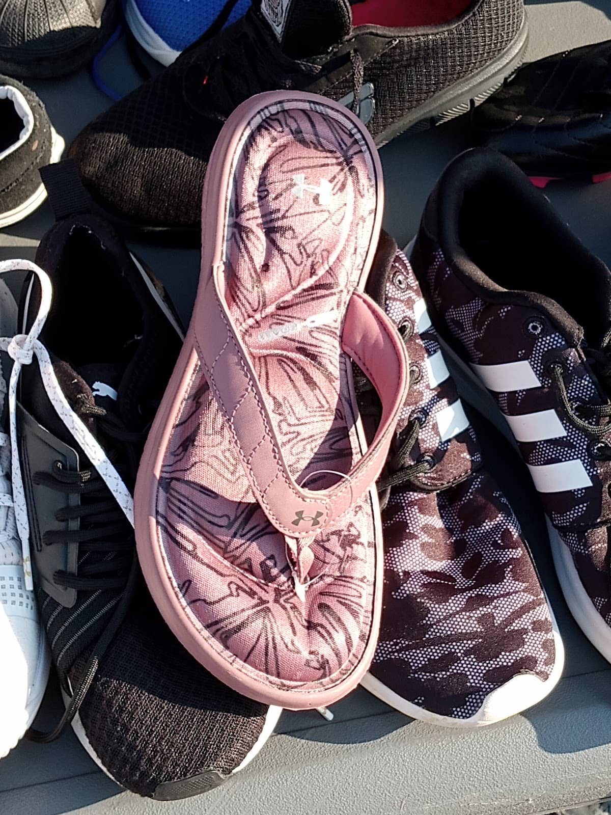 Zwiebach Creations Gallery