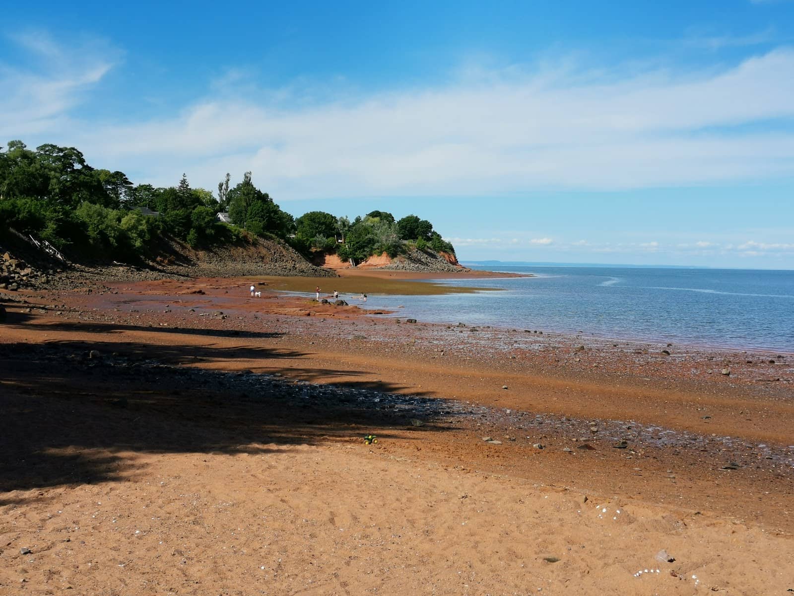 Low Tide Exploration