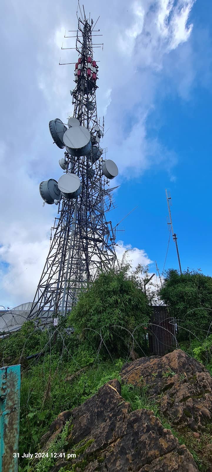 Vertical photo