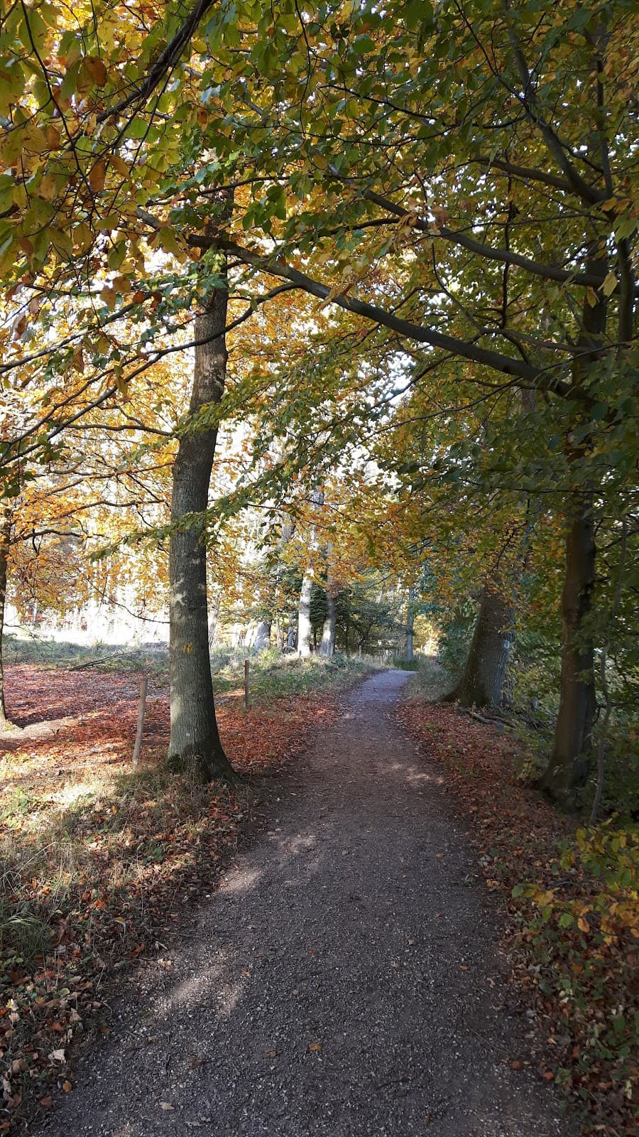 Nødebo Village - Image 1
