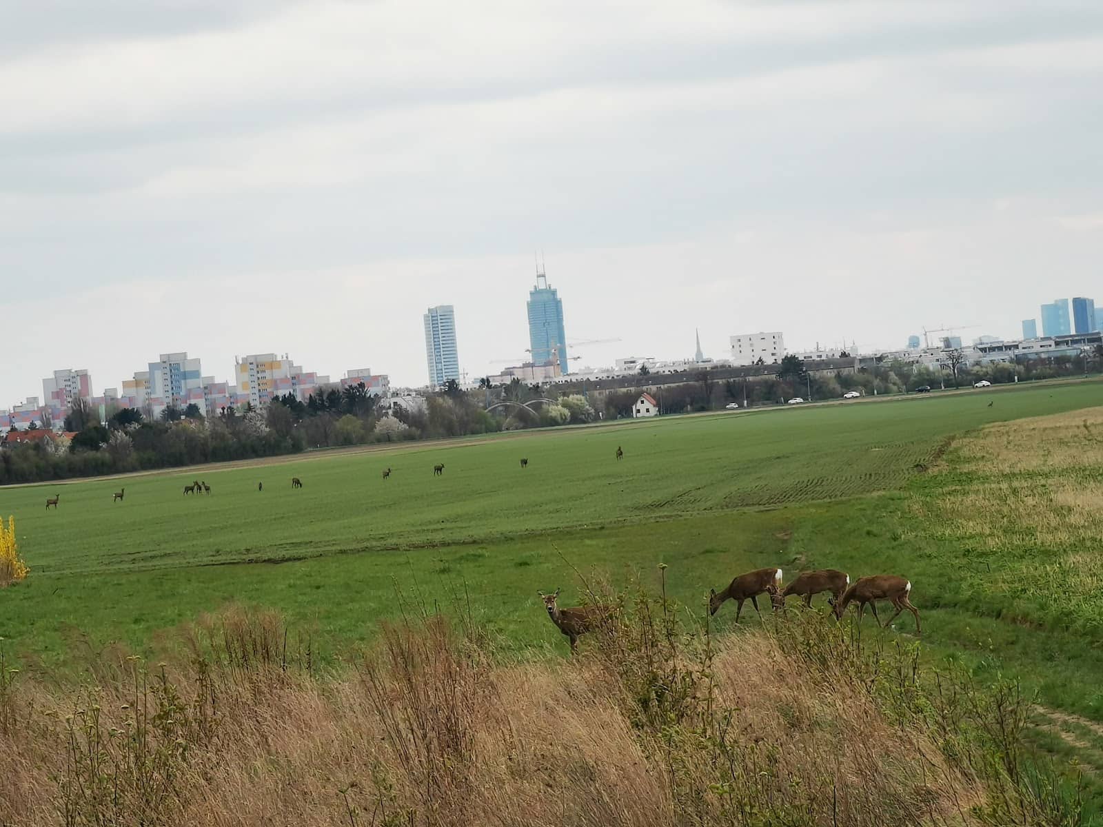 Stadtwanderweg Nr. 5