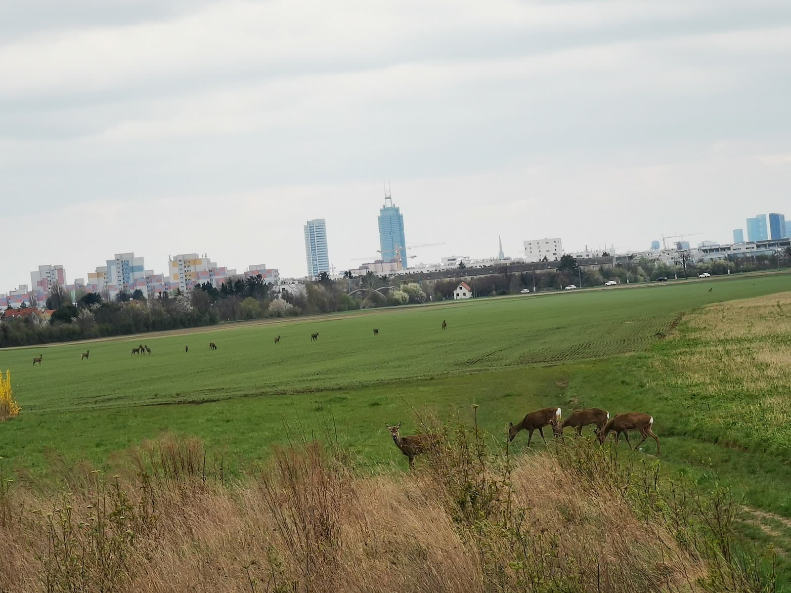 Stammersdorf - Image 1