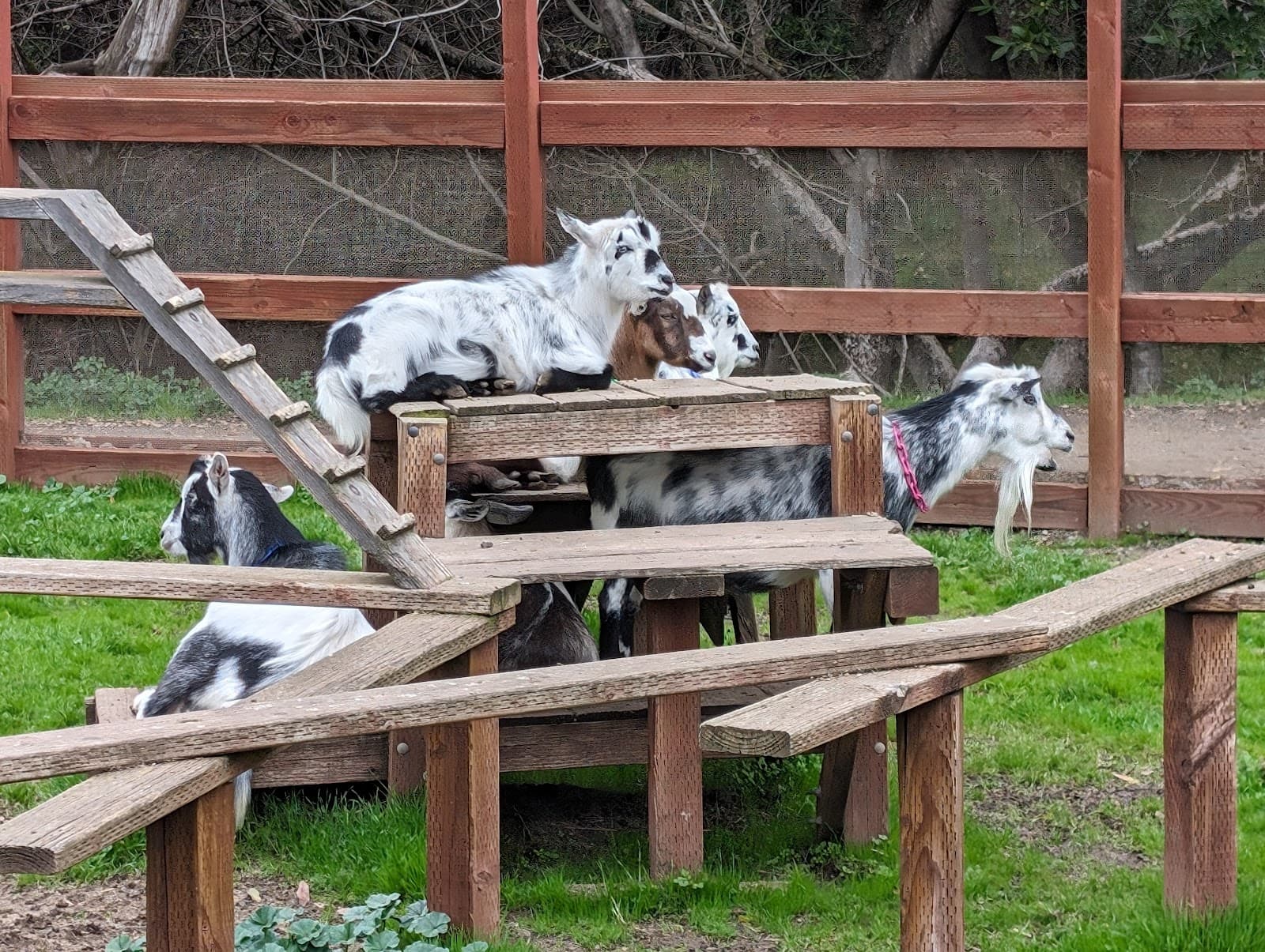 Deer Hollow Farm - Image 1