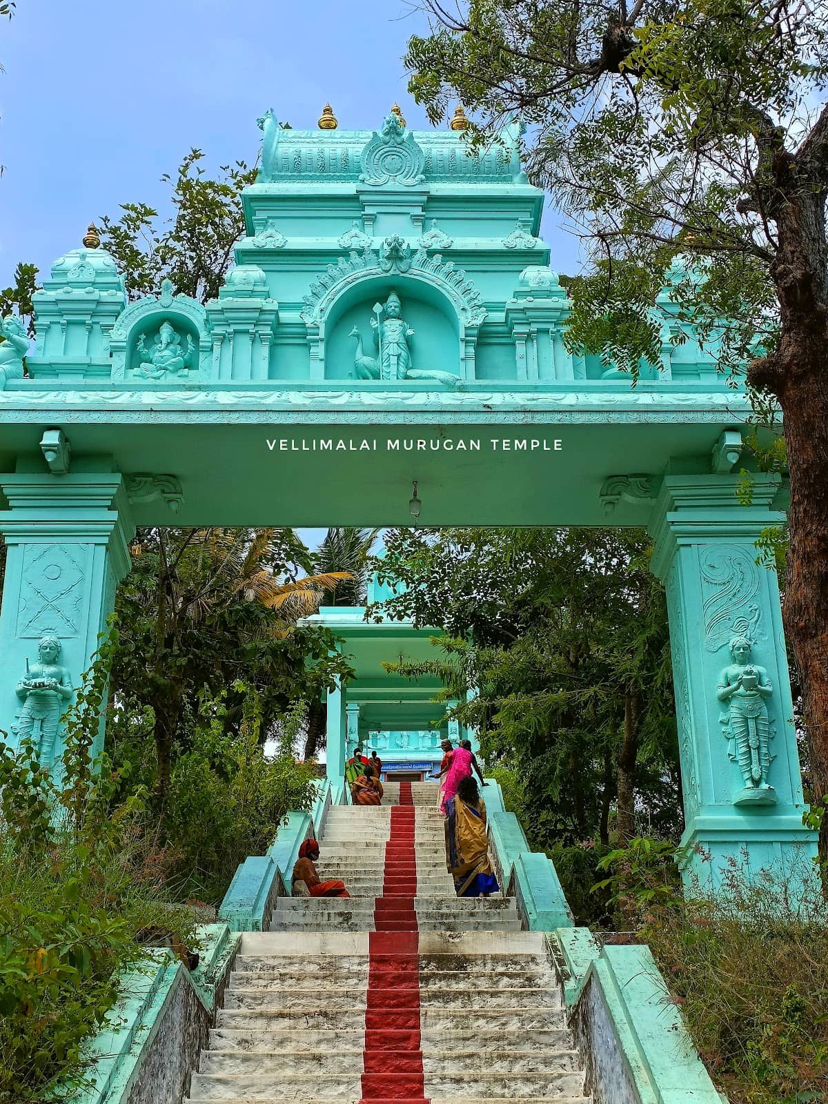 Vertical photo