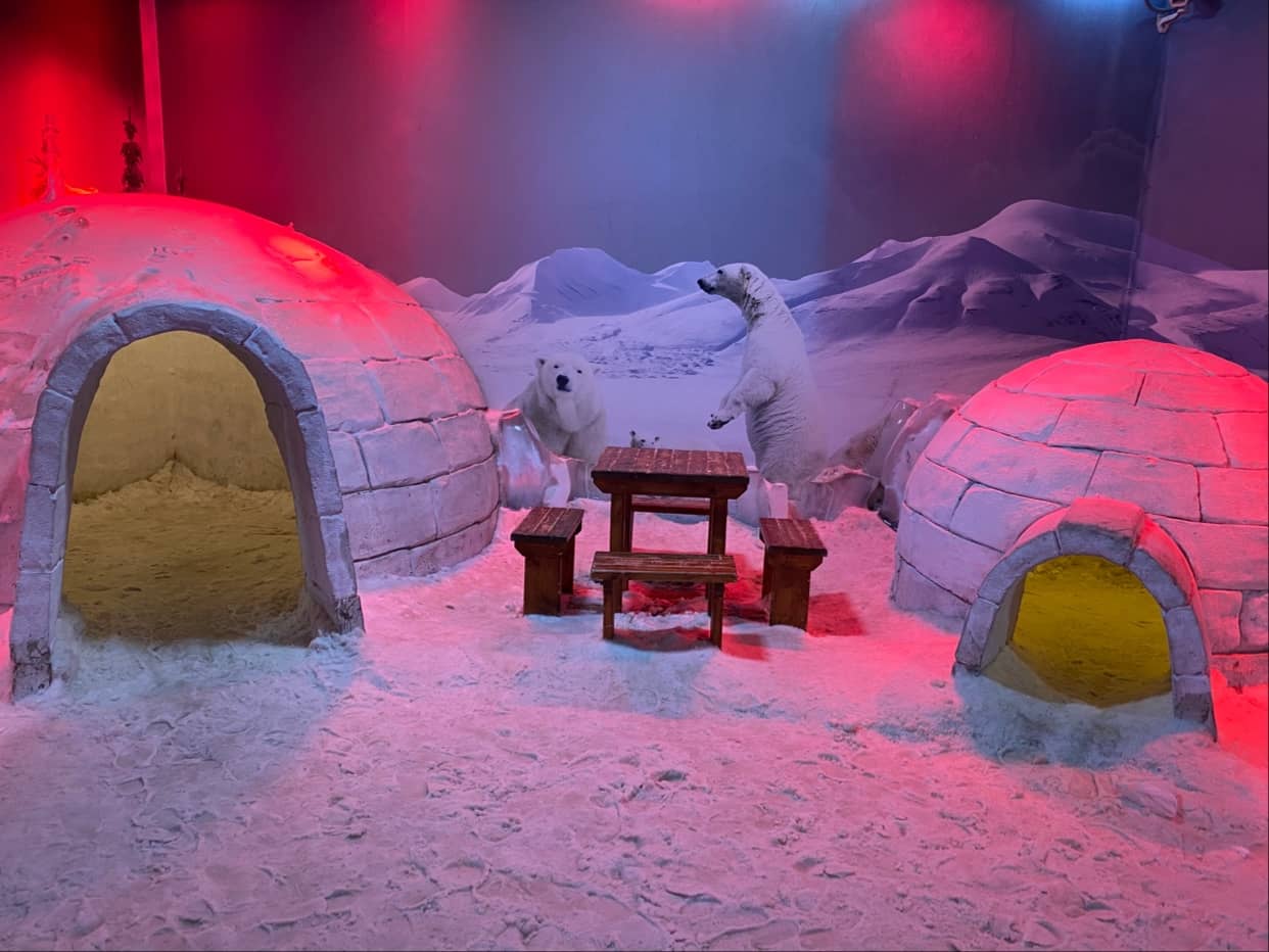 Real Snow Play Area