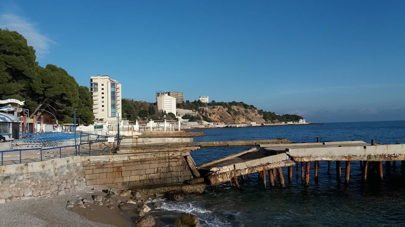 Greenery and Flowers