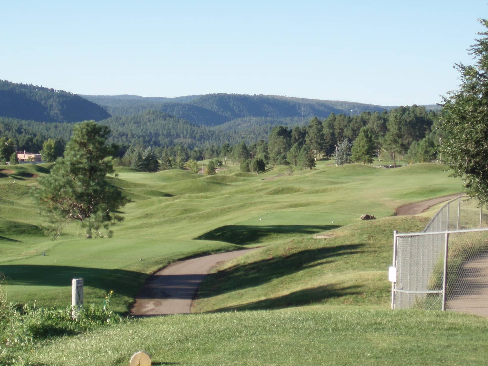 Immaculate Greens and Fairways