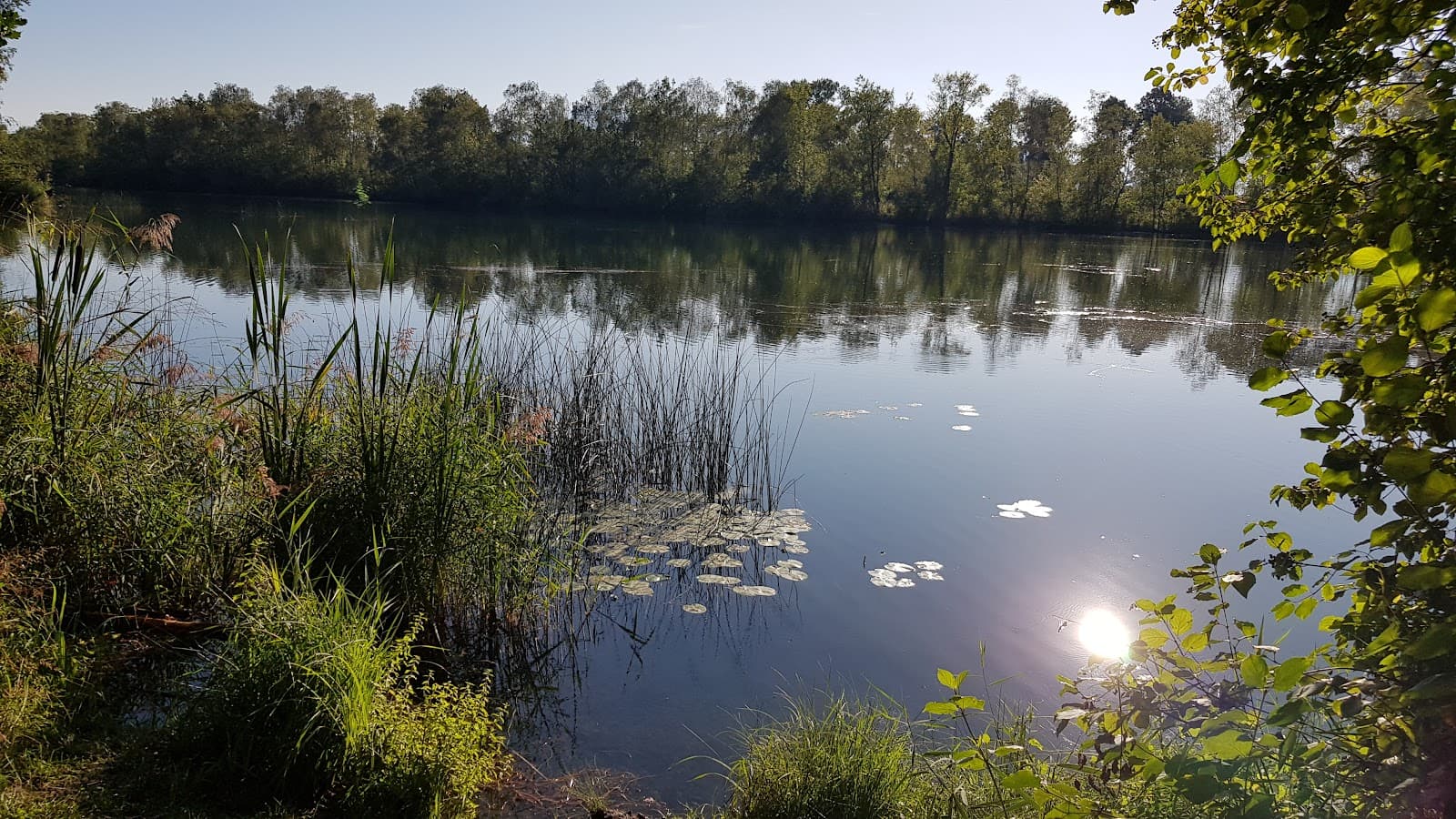 Alter Rhein Lustenau - Image 1
