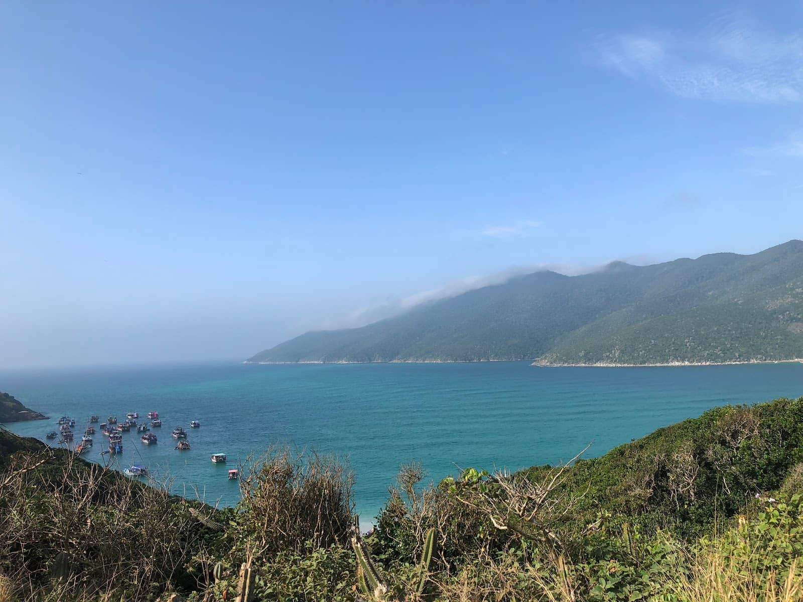 Panoramic Views