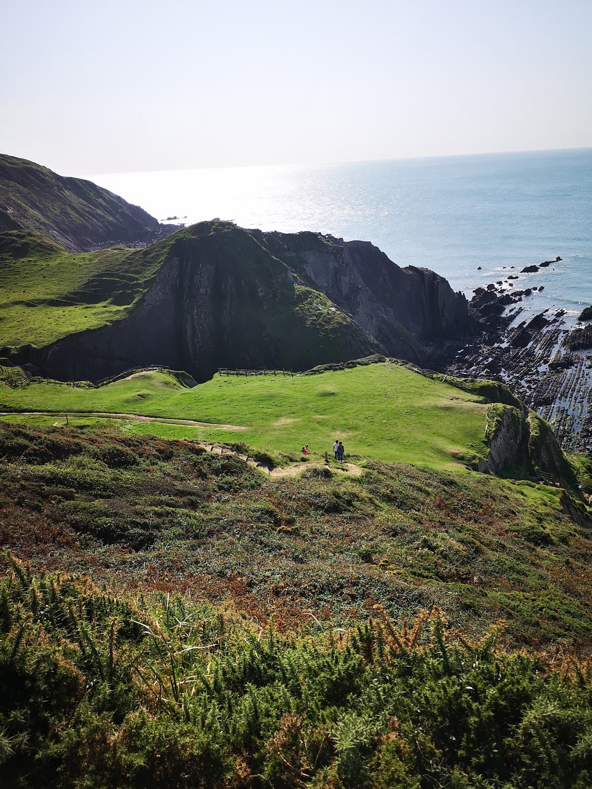 Hartland Quay and Cliffs - Image 1