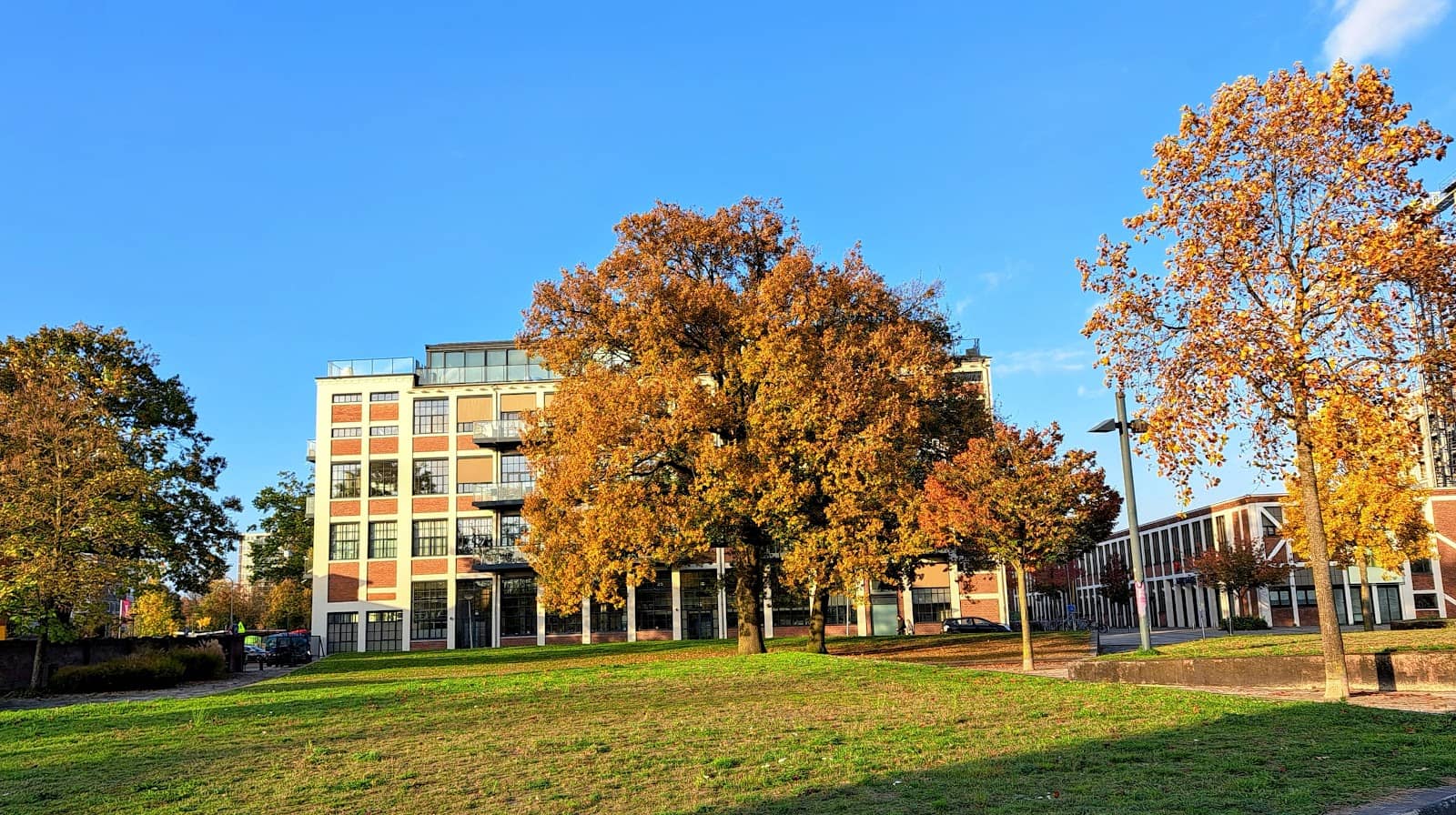 Green Spaces