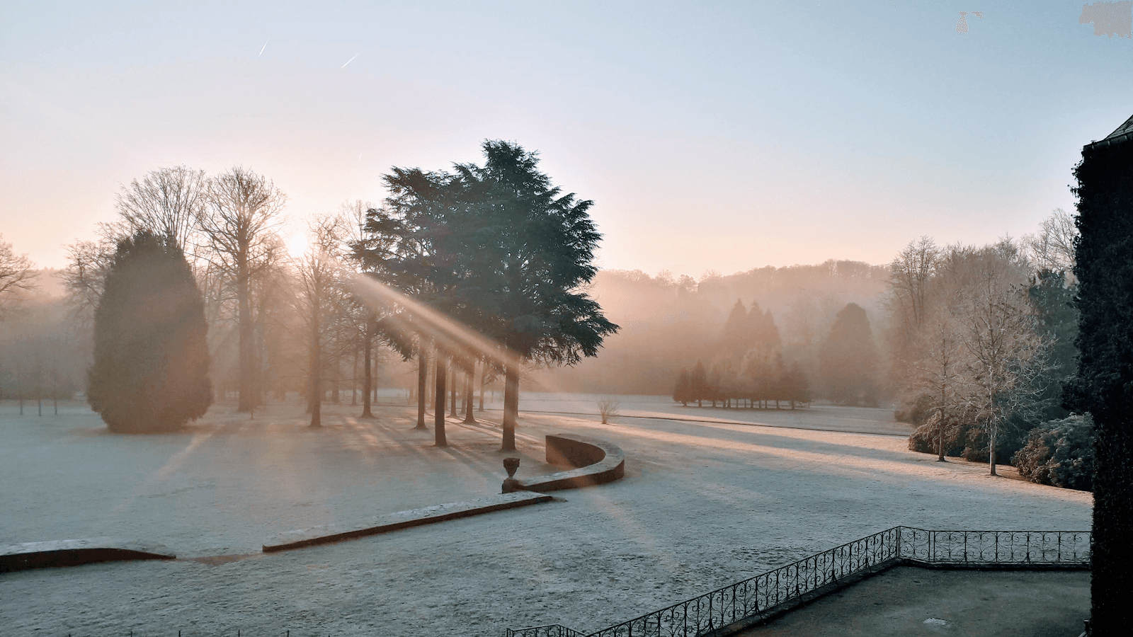 Sonian Forest (La Hulpe section) - Image 1