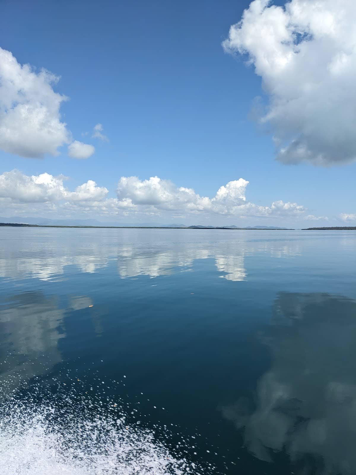 Unique Wildlife Encounters