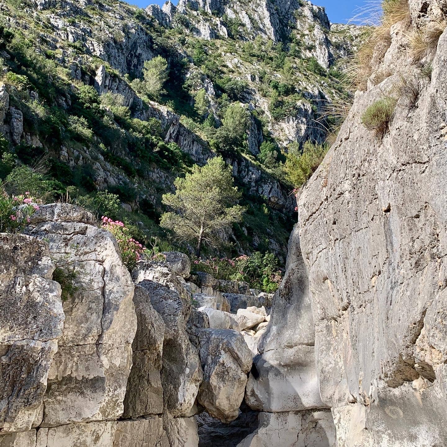 Salt del Barranc de Fleix