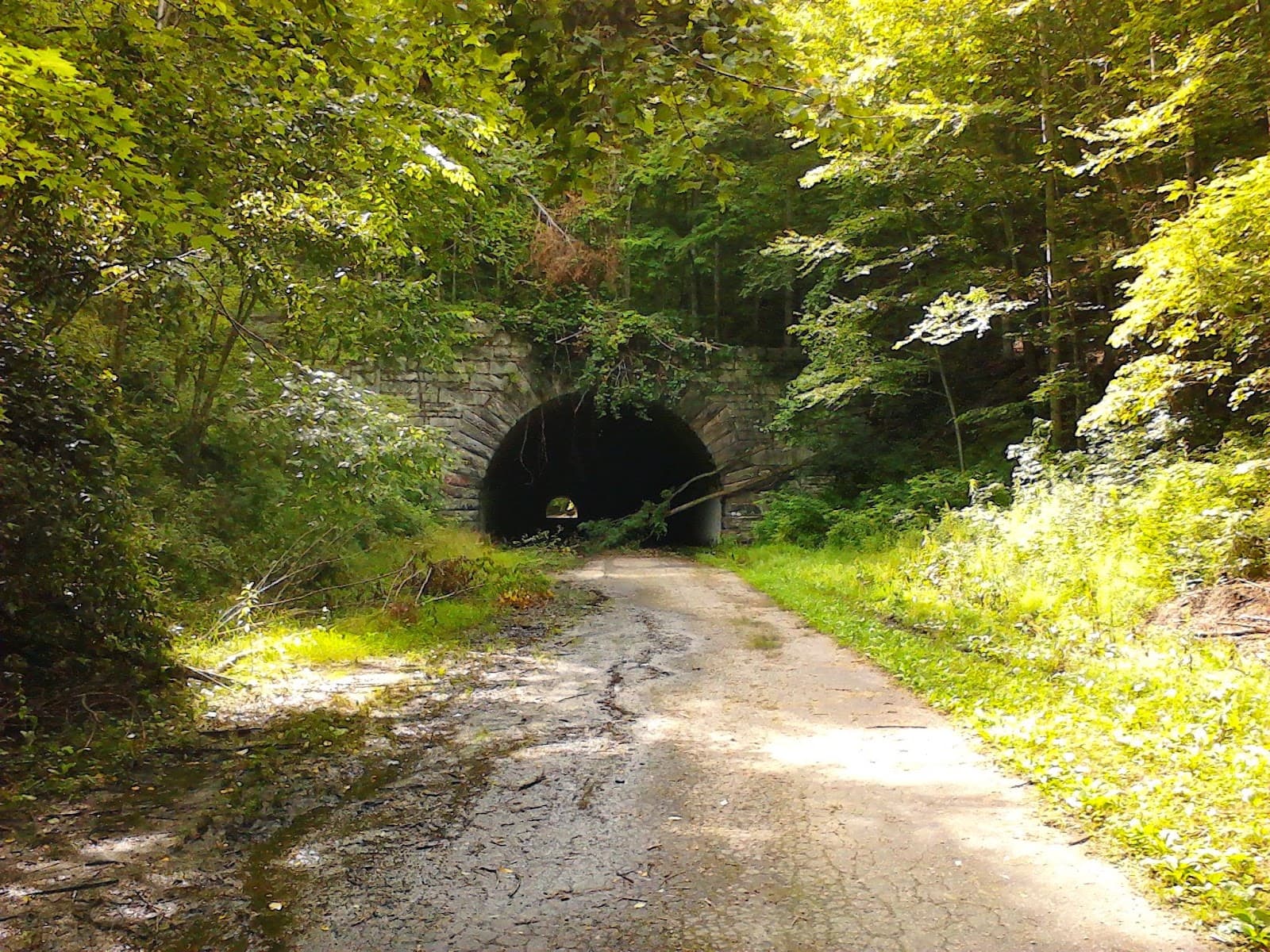 Lakeview Drive Road to Nowhere - Image 1