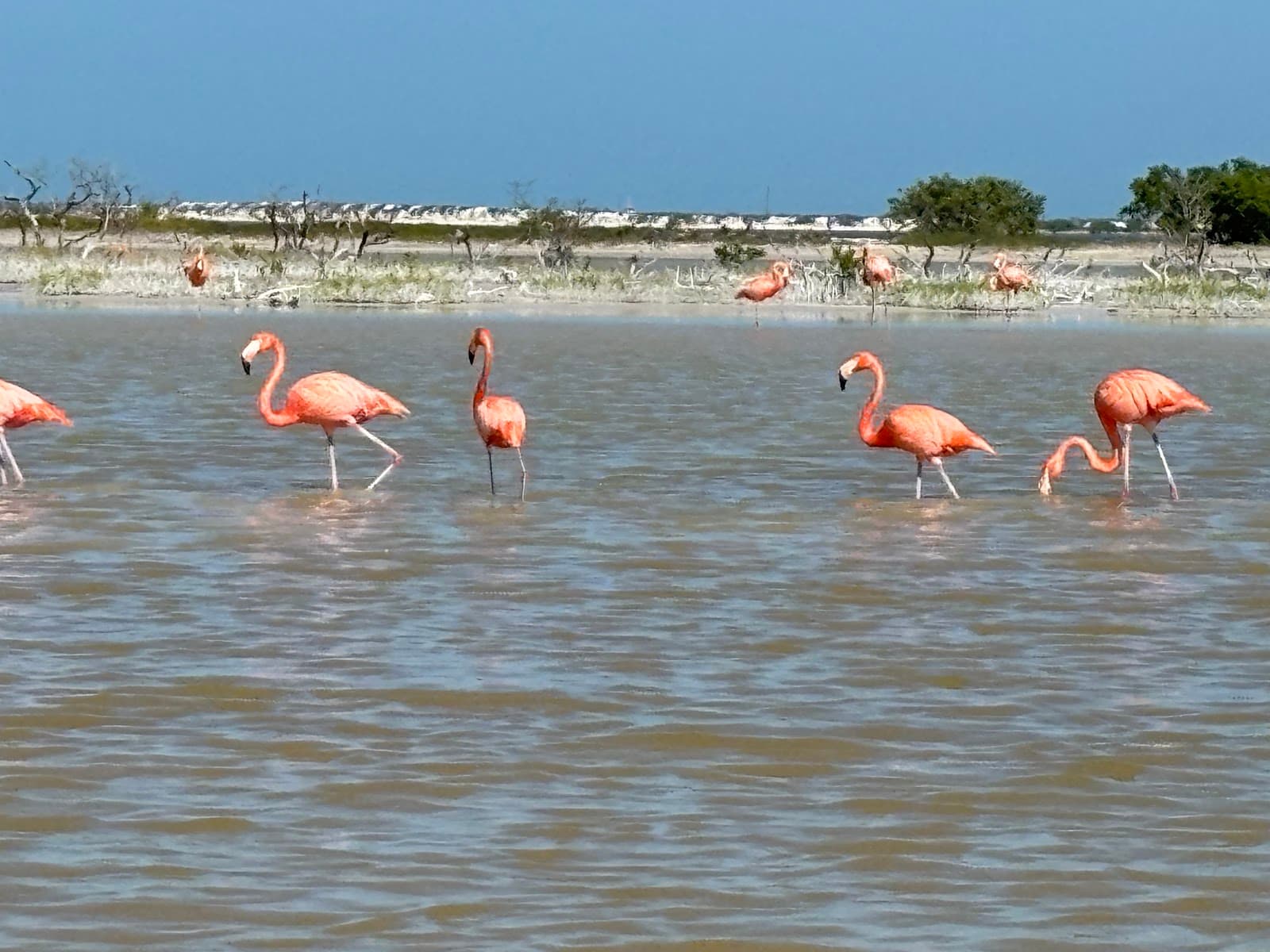 Faro Las Coloradas - Image 1