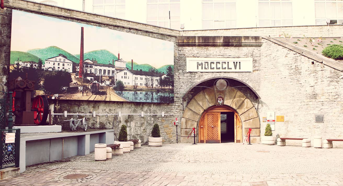 Beer Cellar & Tasting