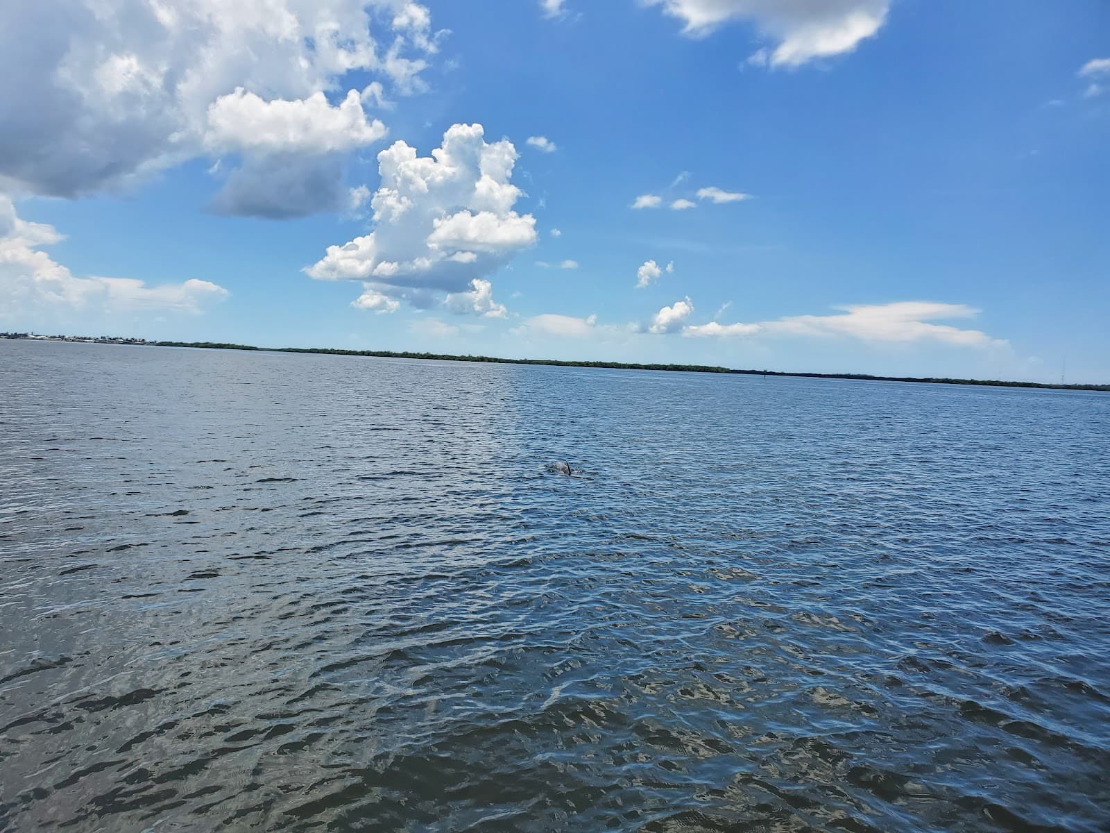 Matlacha Pass Aquatic Preserve Florida - Image 1