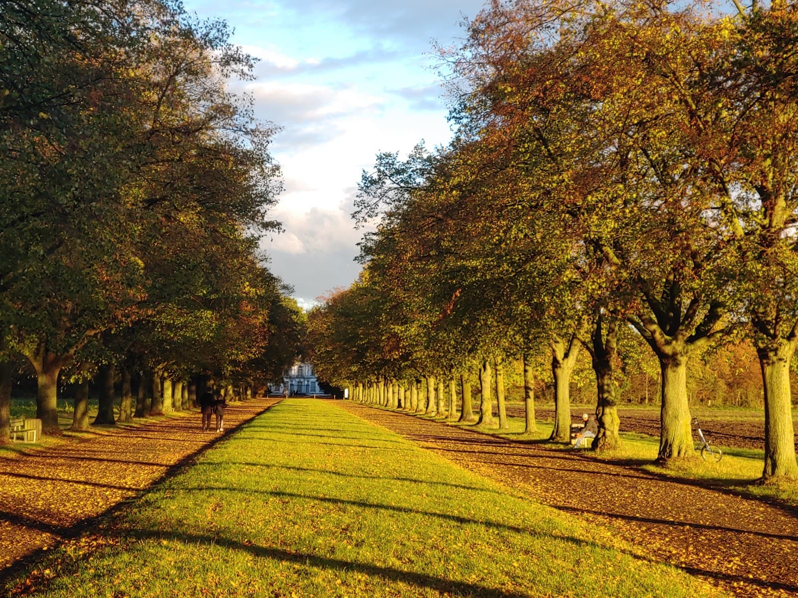 Falkenluster Allee - Image 1