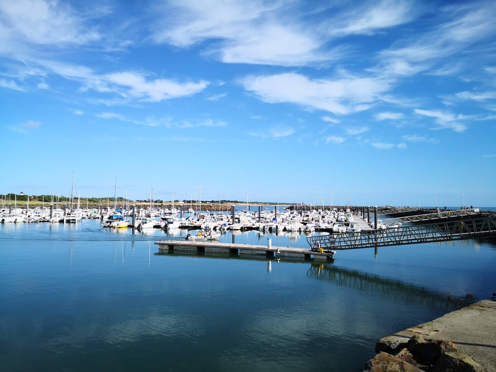 Coastal Walks & Wildlife