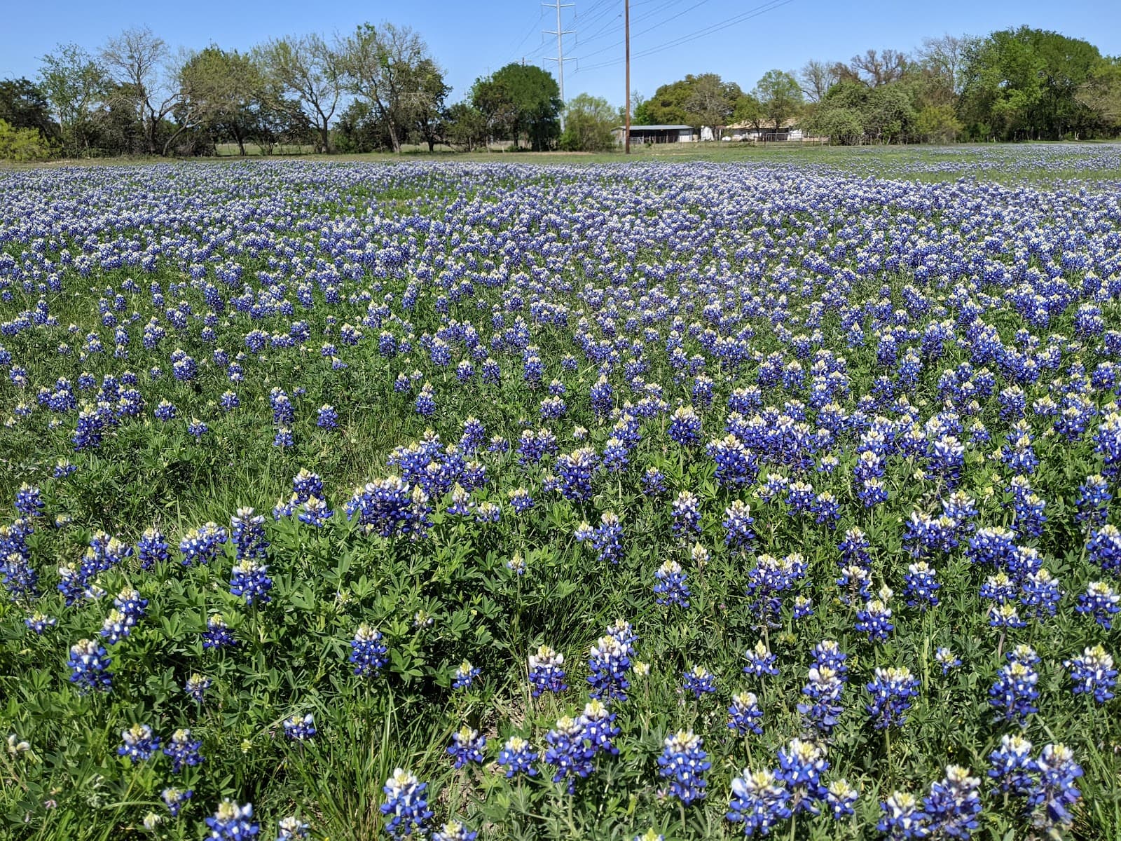 Haley-Nelson Park - Image 1