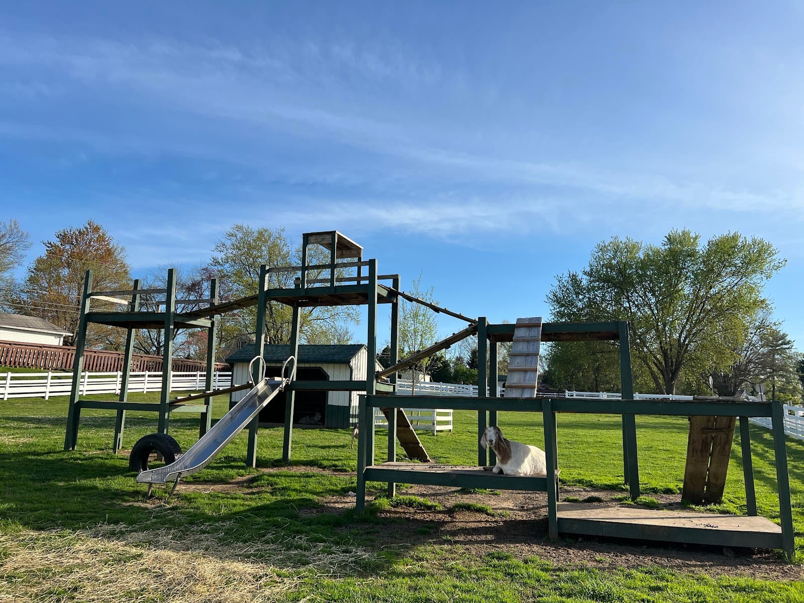 Nor-View Farm Park and Ice Cream - Image 1