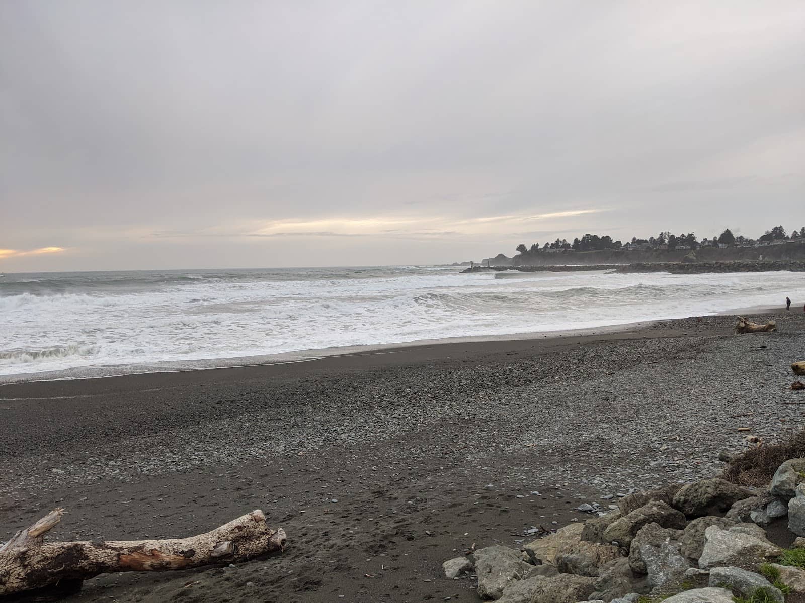 Coastal Wildlife Sightings