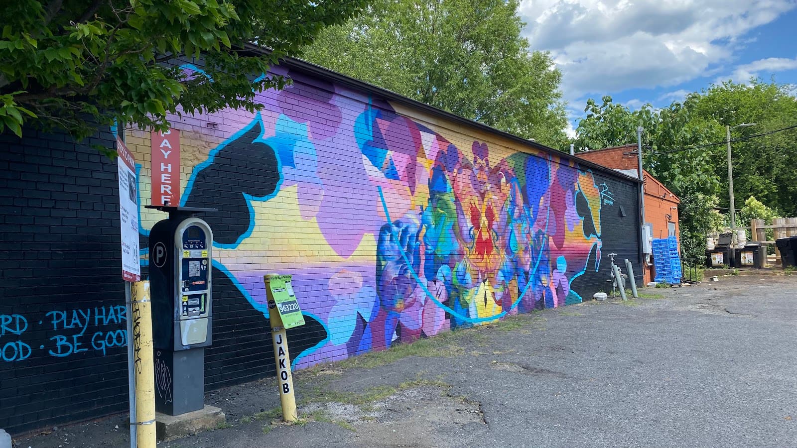 NoDa Murals - Image 1