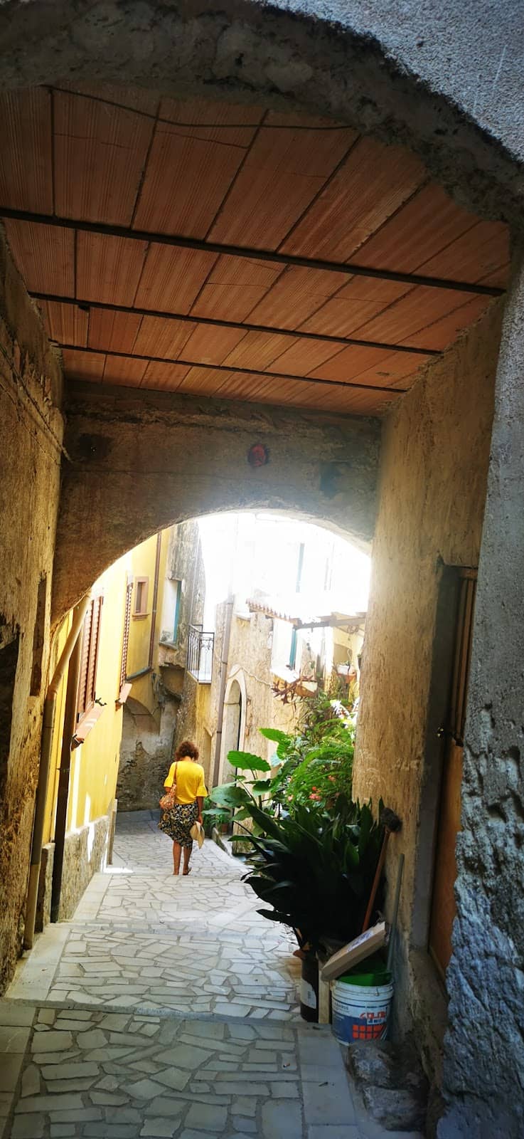 Vertical photo