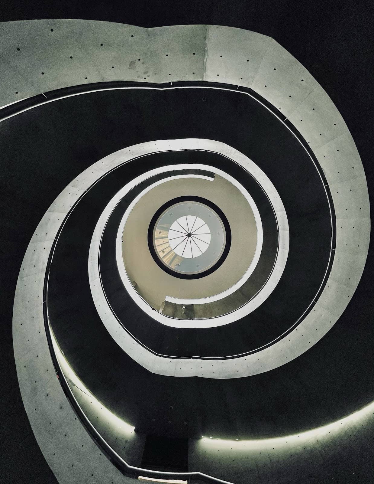 Bruce Lee's Ancestral Roots