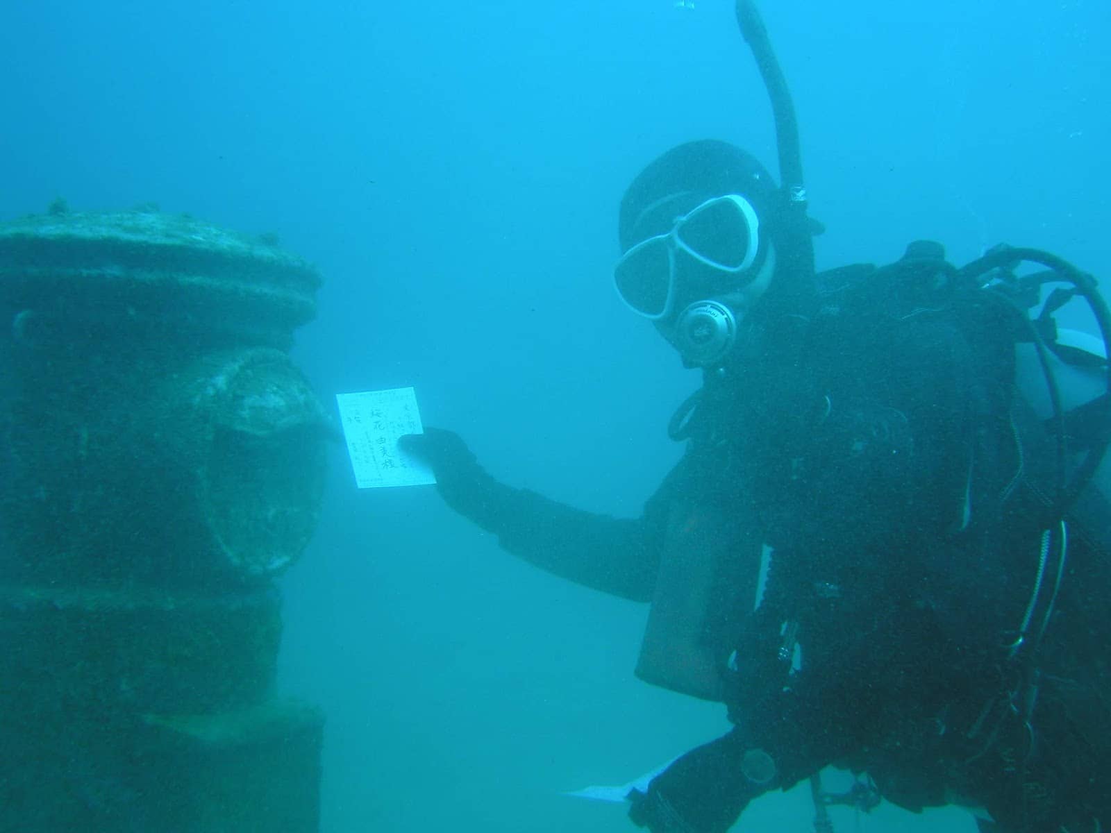 Marine Encounters