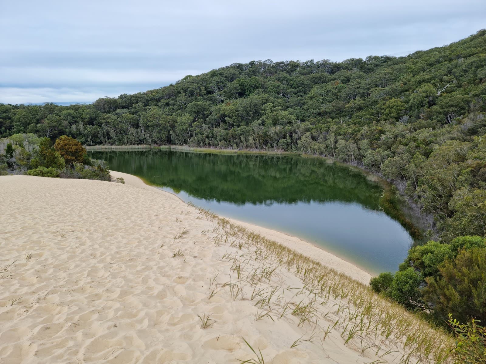 Lake Wabby Fraser Island - Image 1