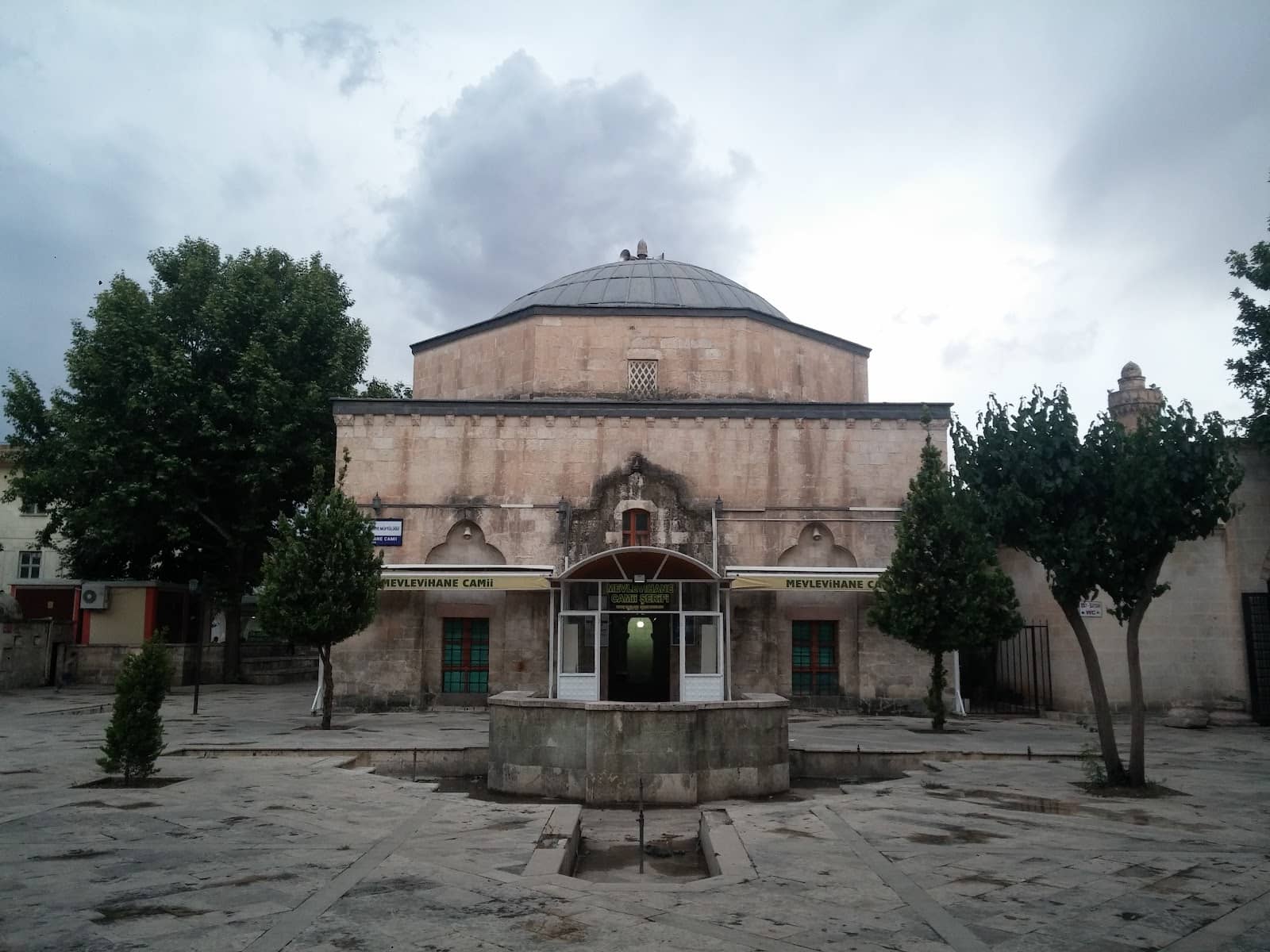 Vertical photo
