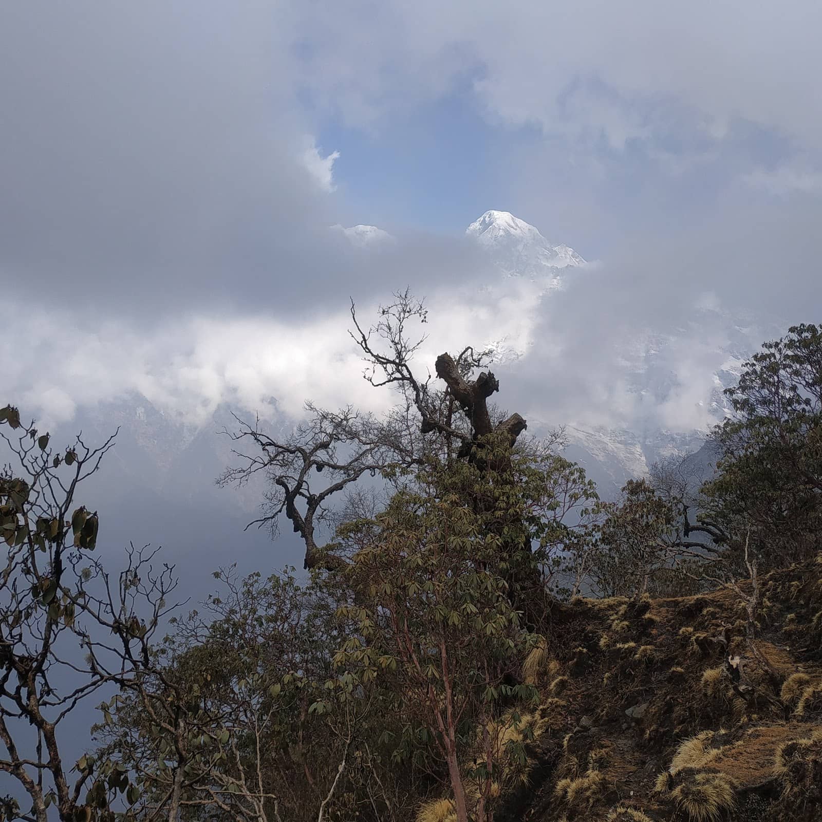Vertical photo