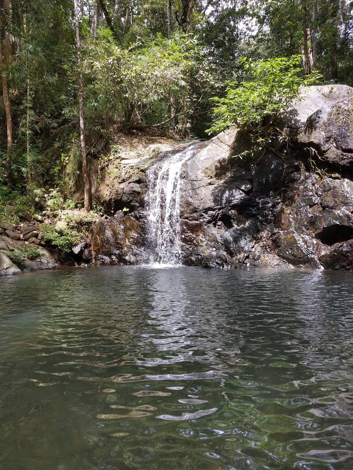 Vertical photo