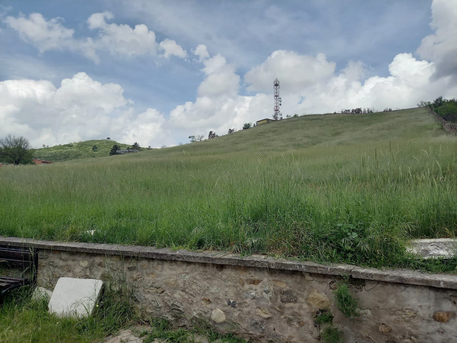 Jewish Cemetery of Bitola - Image 1