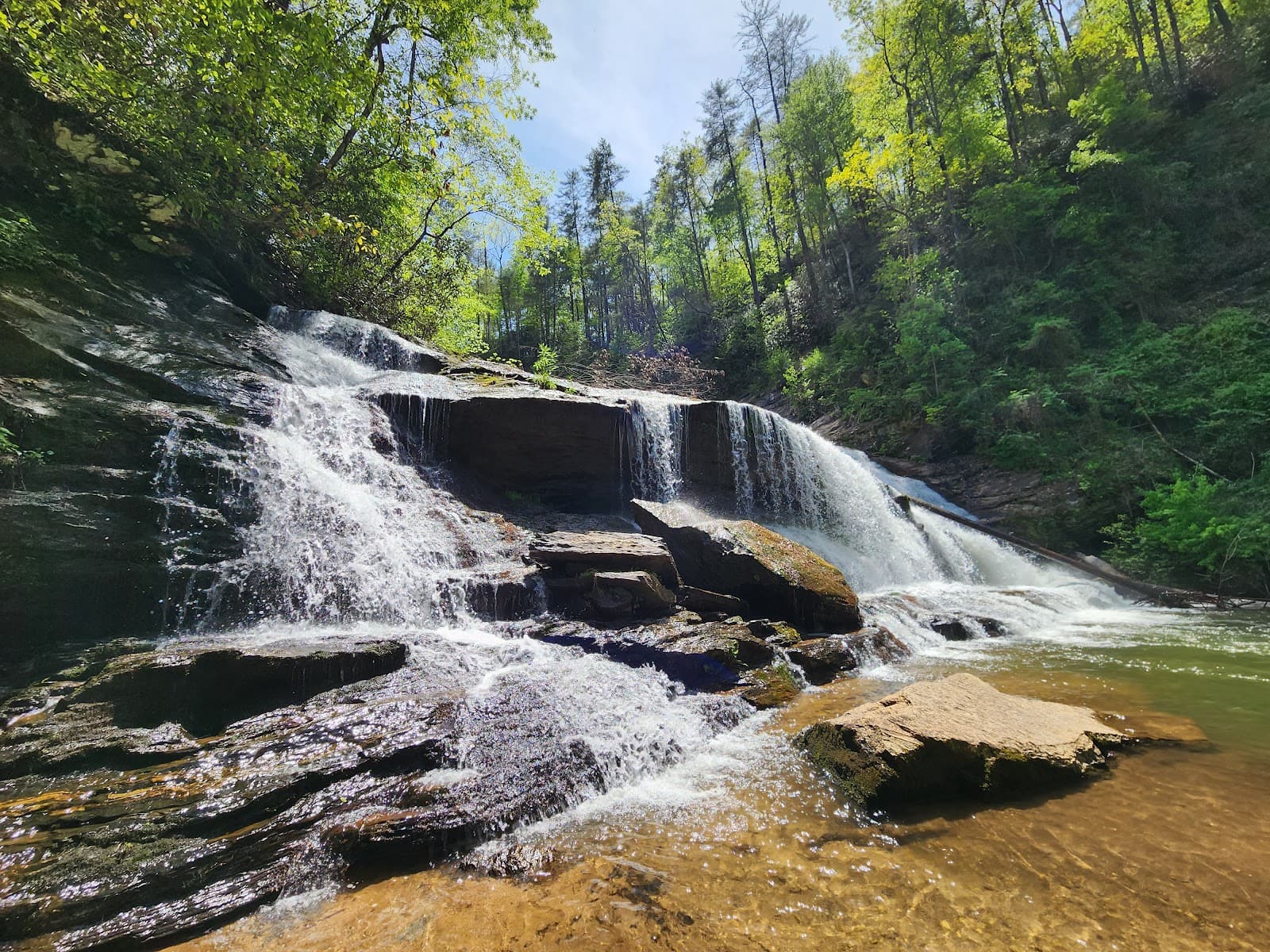 Panther Creek Falls Trail, Tiger - Image 1