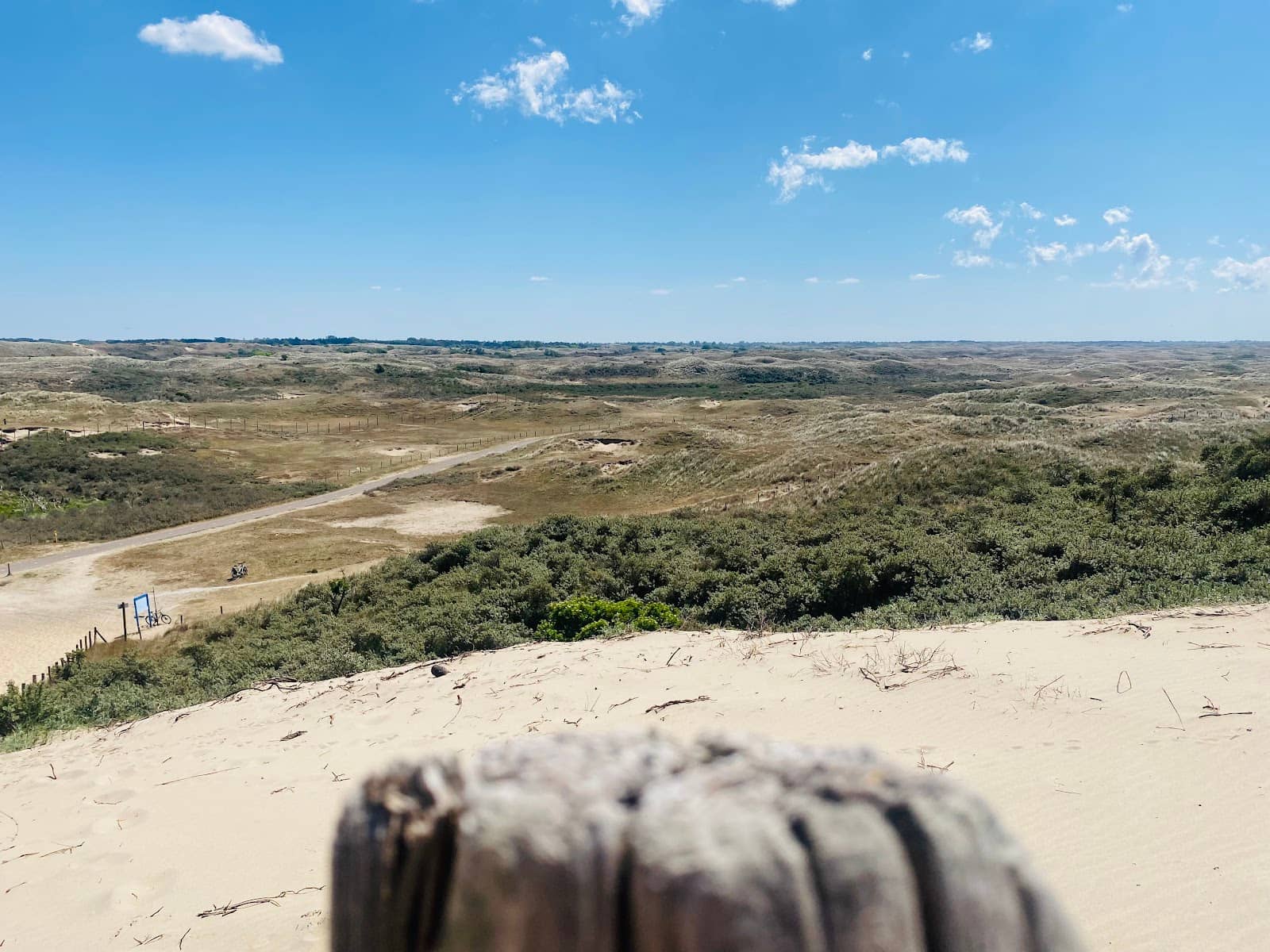 Visitor Center Insights