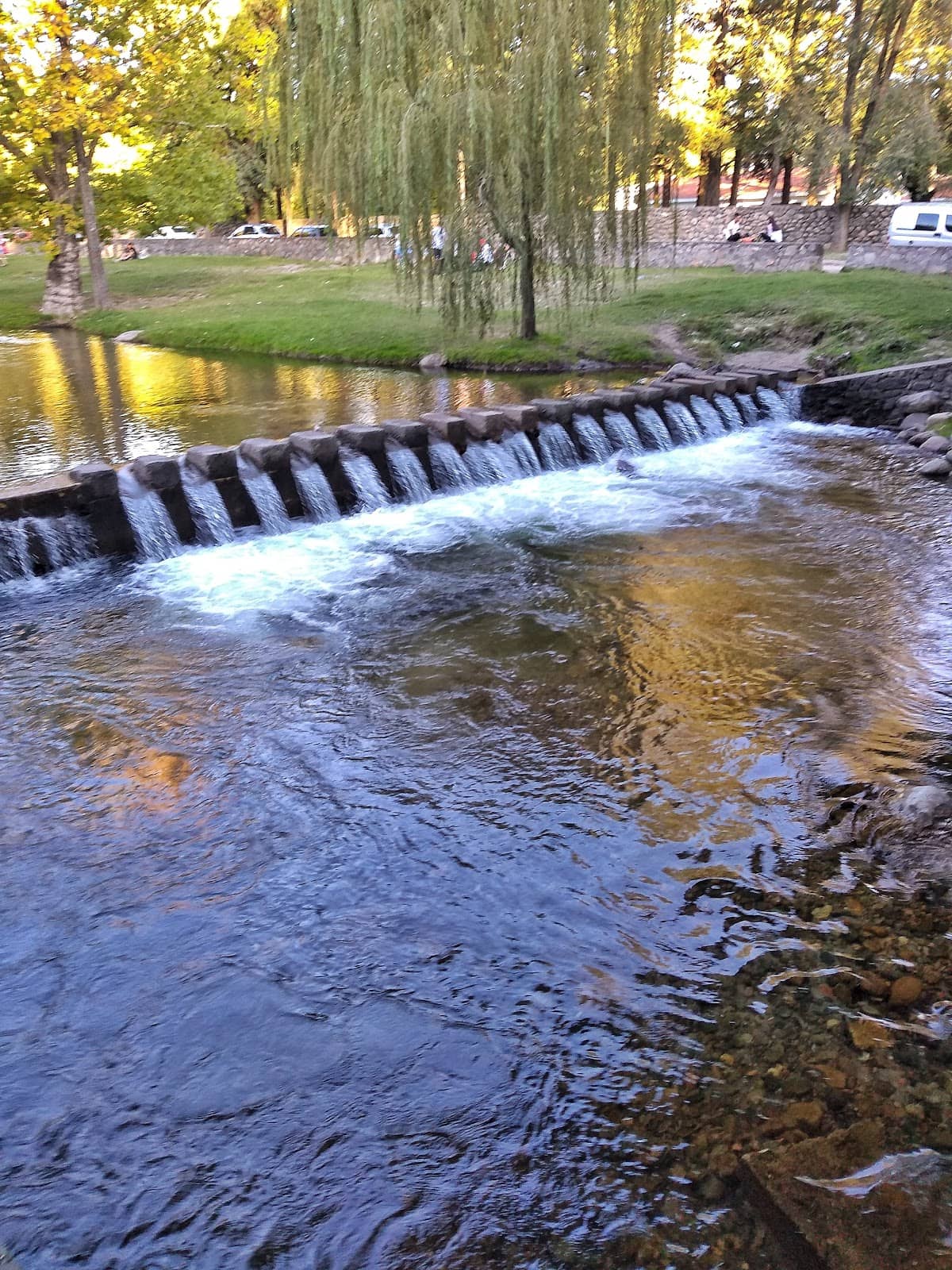 Vertical photo