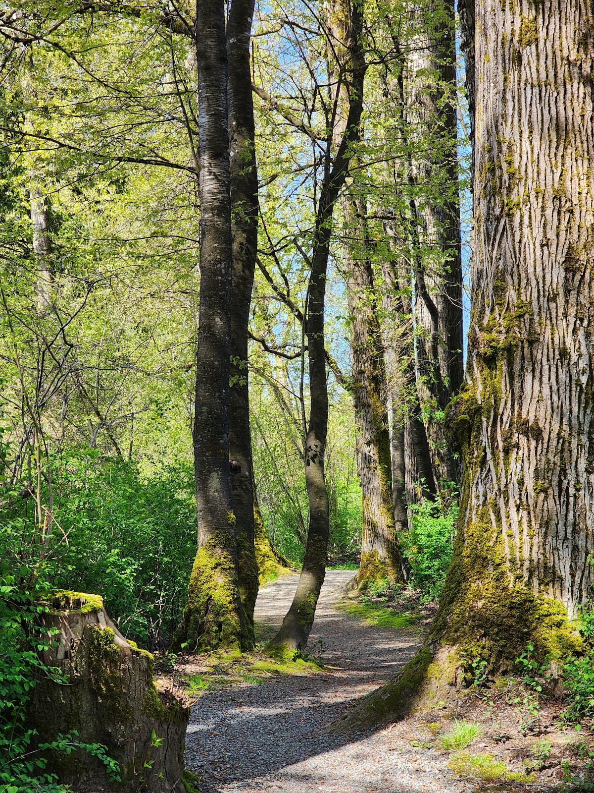 Glen Valley Regional Park - Image 1