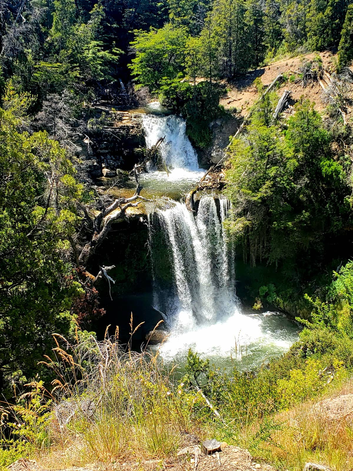 Vertical photo