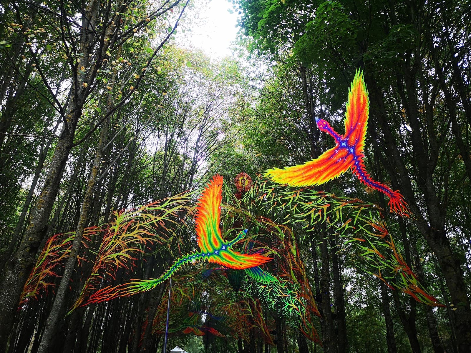 Dainai Park - Image 1