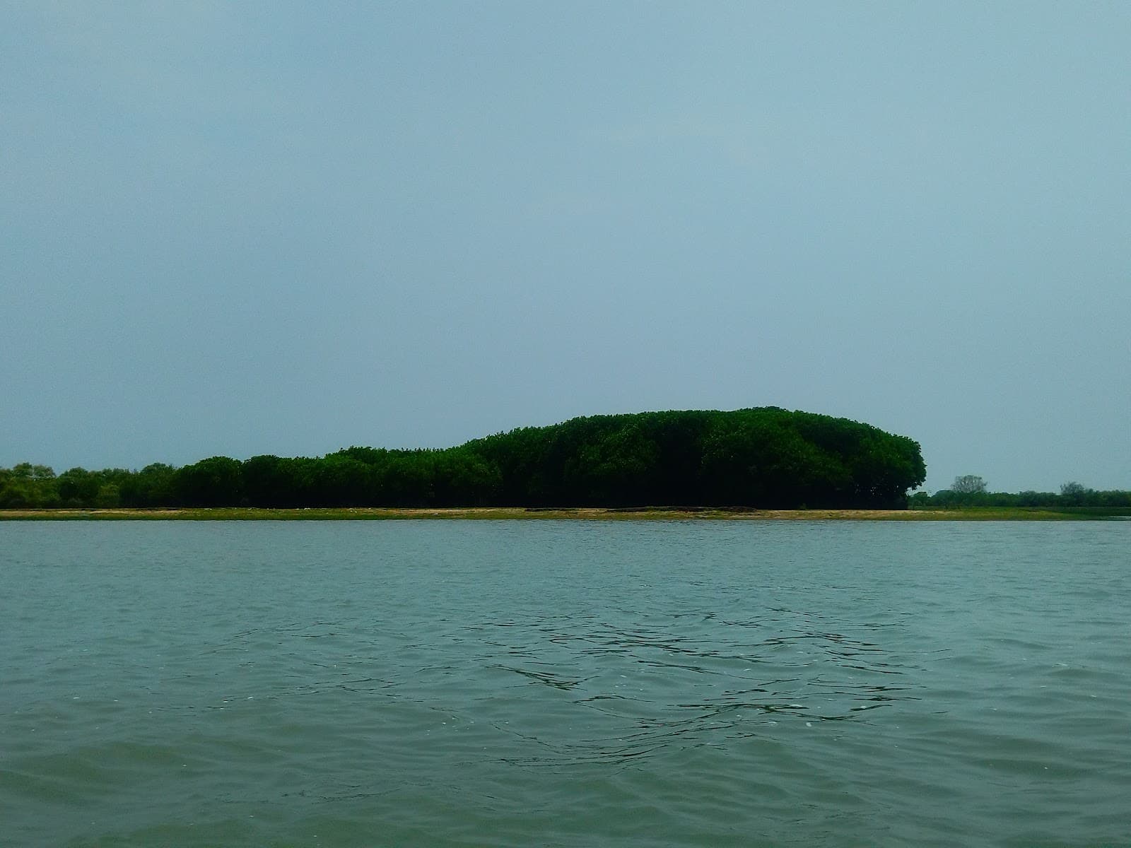 Chilika Lake - Image 1
